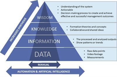 Artificial intelligence and automated monitoring for assisting conservation of marine ecosystems: A perspective